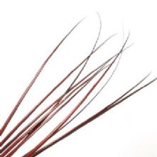 Wine Red Quill Feather